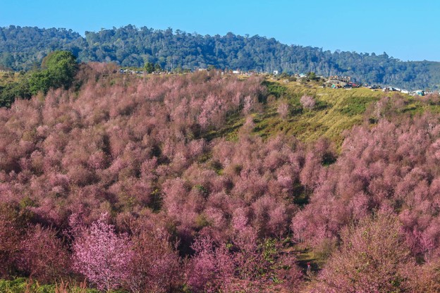 บรรยากาศ ภูลมโล
