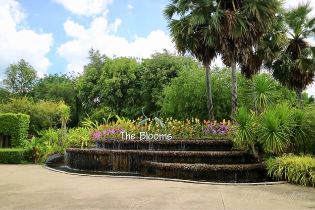 บรรยากาศ The Blooms Orchid Park
