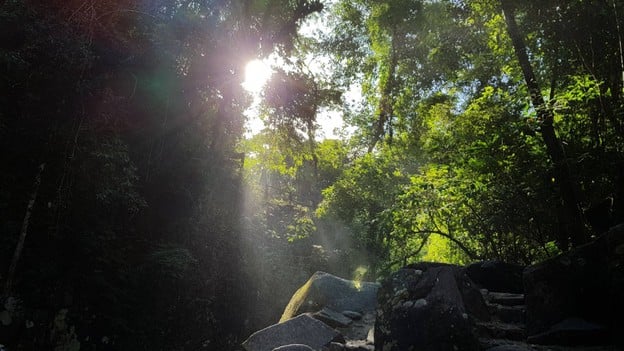 อุทยานแห่งชาติน้ำตกพลิ้ว