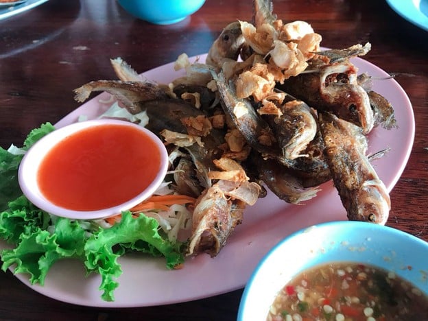 เมนูของร้าน ครัวมัจฉา