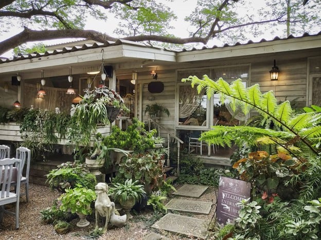 Portobello and Désiré