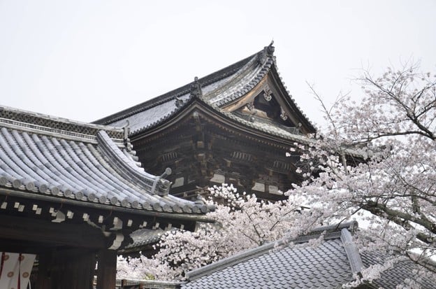 บรรยากาศ Ninnaji Temple