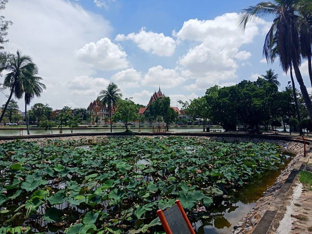 บรรยากาศ สวนสมเด็จพระศรีนครินทร์