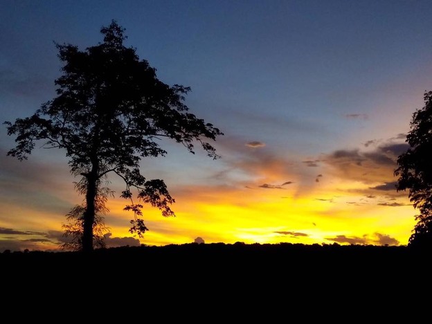 บรรยากาศ ผาหมอกมิวาย