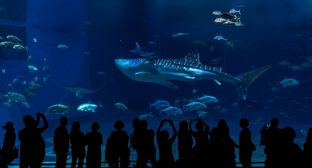 บรรยากาศ Sea Life Bangkok Ocean World