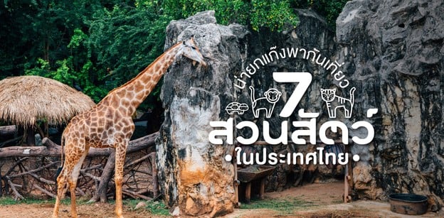 7 สวนสัตว์ในประเทศไทย น่ายกแก๊งพากันเที่ยว