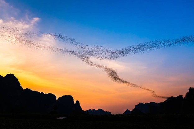 บรรยากาศ เนินมะปราง