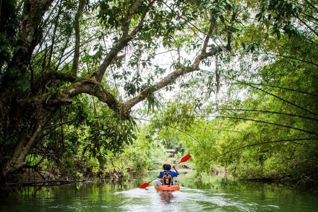 บรรยากาศ อุทยานวังมัจฉา