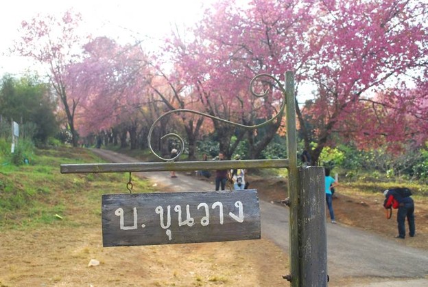 ศูนย์วิจัยเกษตรหลวงเชียงใหม่ (ขุนวาง)