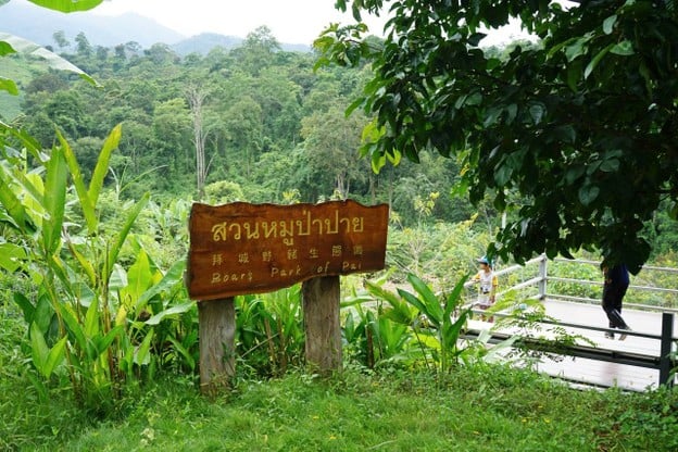 บรรยากาศ สวนหมูป่าปาย