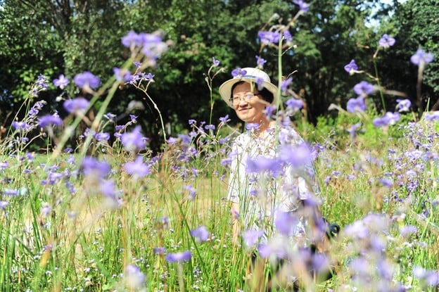 ทุ่งดอกหงอนนาค สวนศักดิ์สุภา
