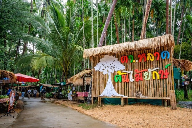 บรรยากาศ ต้นไม้ยักษ์ 400 ปี บ้านสะนำ