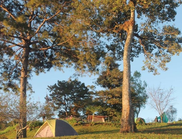 สถานีวิจัยเกษตรที่สูงสันป่าเกี๊ยะ