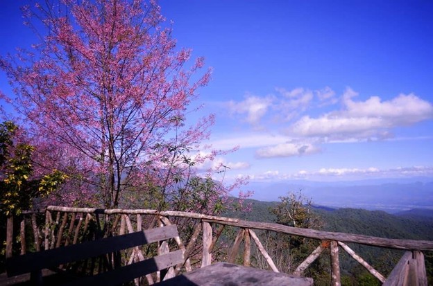 สถานีวิจัยเกษตรที่สูงสันป่าเกี๊ยะ