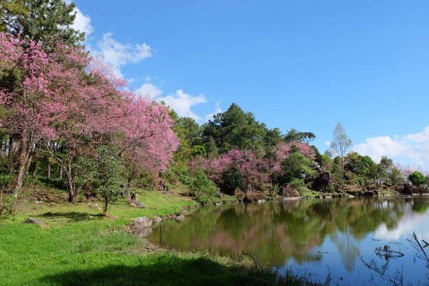 ศูนย์อนุรักษ์พันธุ์กล้วยไม้รองเท้านารีอินทนนท์