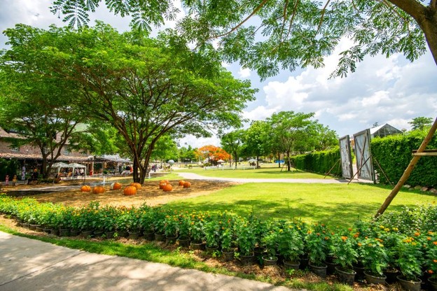 บรรยากาศ The Scenery Vintage Farm