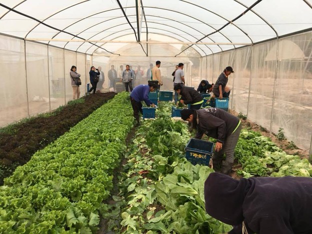 บรรยากาศ ไร่ภูตะวัน Organic Farm