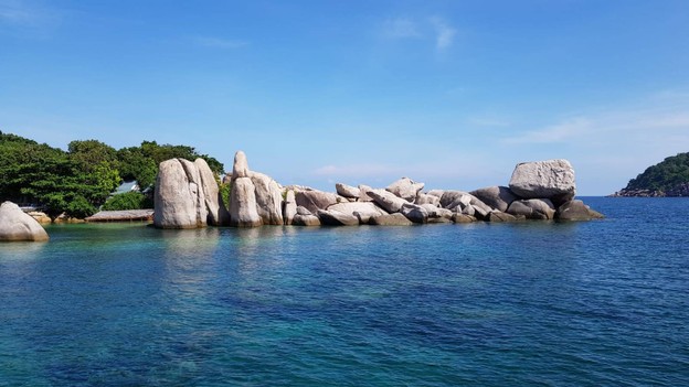 จุดดำน้ำ เกาะนางยวน