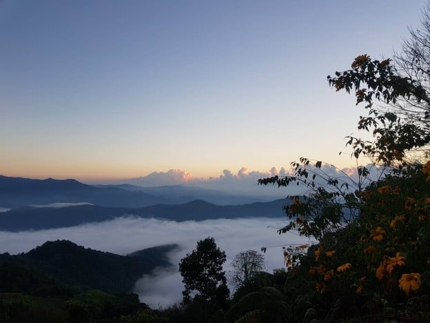 ศูนย์พัฒนาโครงการหลวง ม่อนเงาะ