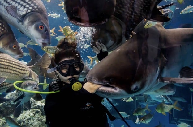 บรรยากาศ บึงฉวาก