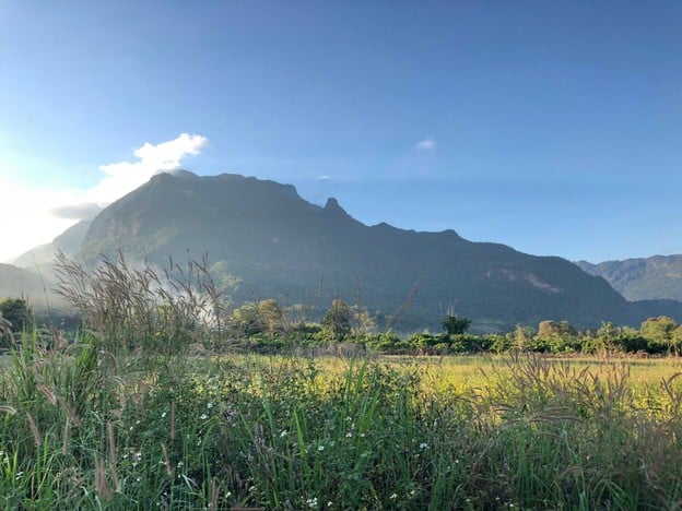 Chiang Dao Youth Camp