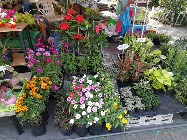 ตลาดน้ำตลิ่งชัน