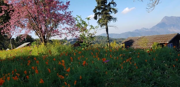 สถานีวิจัยเกษตรที่สูงสันป่าเกี๊ยะ