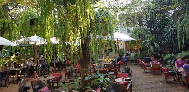 Fern Forest Cafe