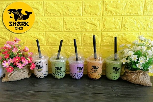 Shark Cha