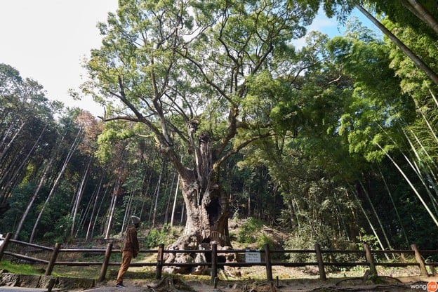 บรรยากาศ Takeo Shrine