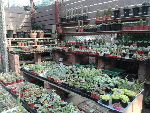 บรรยากาศ ตลาดธนบุรี (สนามหลวง 2)