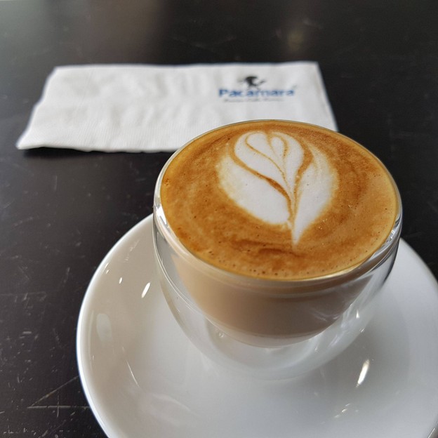 เมนูของร้าน PACAMARA Siam MBK A La Art