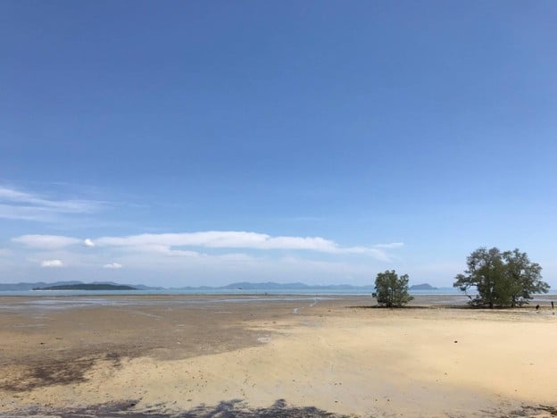 หาดท่าหลา