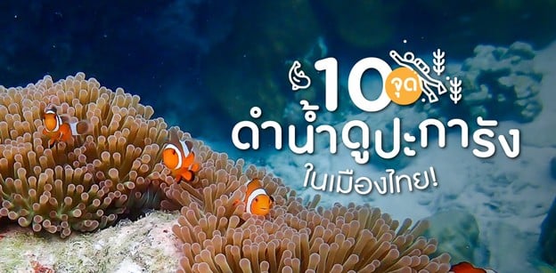 10 จุดดำน้ำ ดูปะการัง ในเมืองไทย!