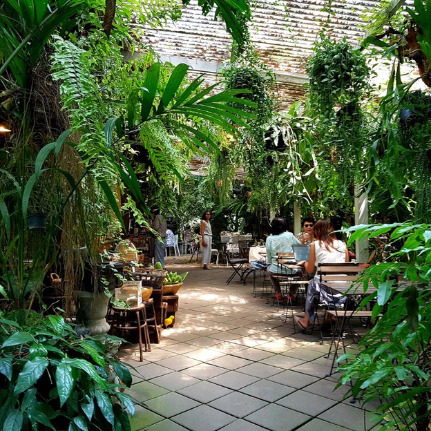 บรรยากาศ Little Tree Garden