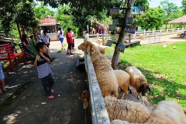 ฟาร์มฮัก