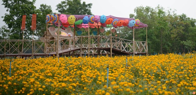 บรรยากาศ หมู่บ้านดอกไม้ บ้านห้วยสําราญ