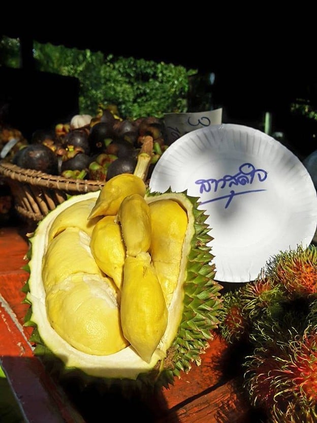 บรรยากาศ สวนสาวสุดใจ