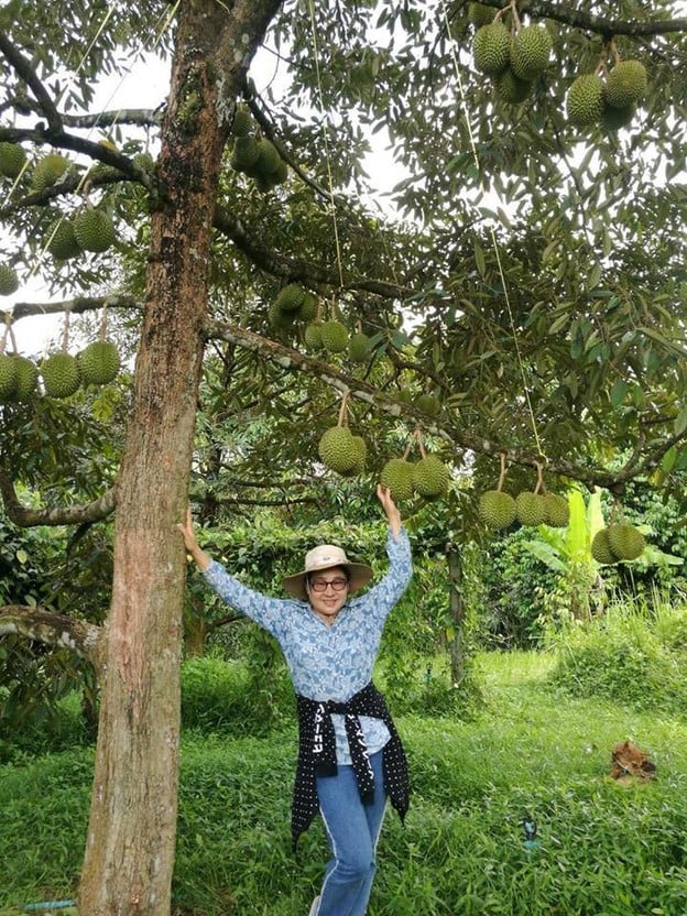 บรรยากาศ สวนภูทิพย์ธารา