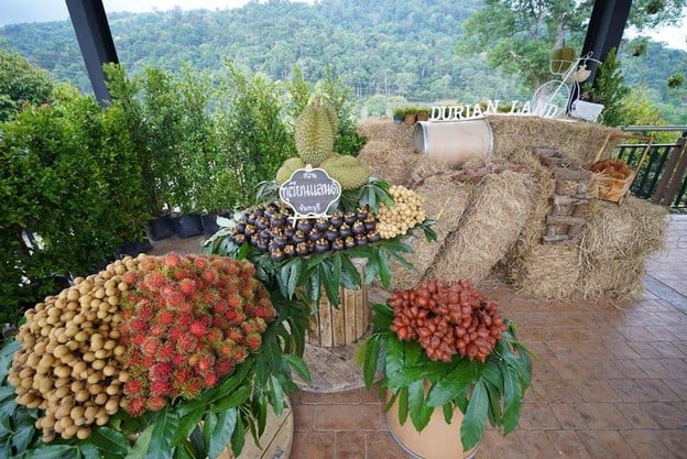 บรรยากาศ สวนทุเรียนแลนด์