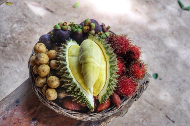 สวนลุงประเสริฐ