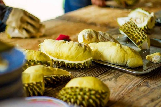 บรรยากาศ สวนละไม