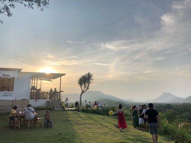 ต้นไม้ใบหญ้า