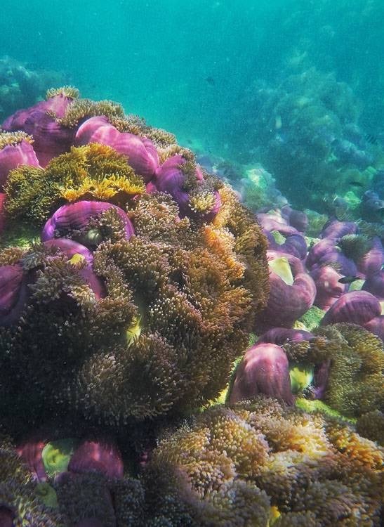 บรรยากาศ เกาะจาน