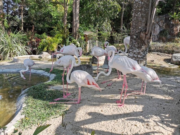 สวนสัตว์สงขลา