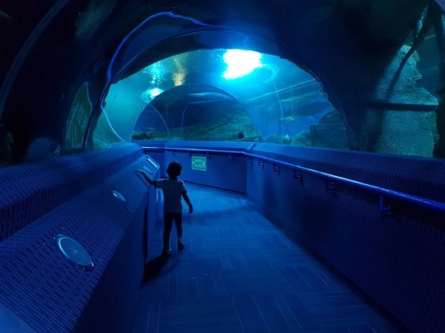 Underwater World