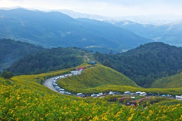 ทุ่งบัวตองดอยแม่อูคอ