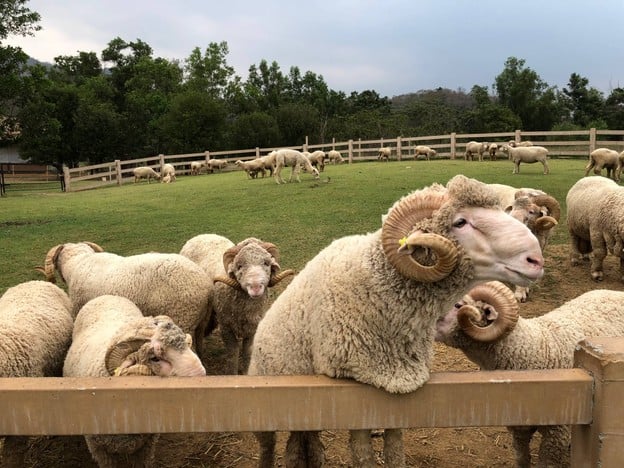 บรรยากาศ Primo Piazza