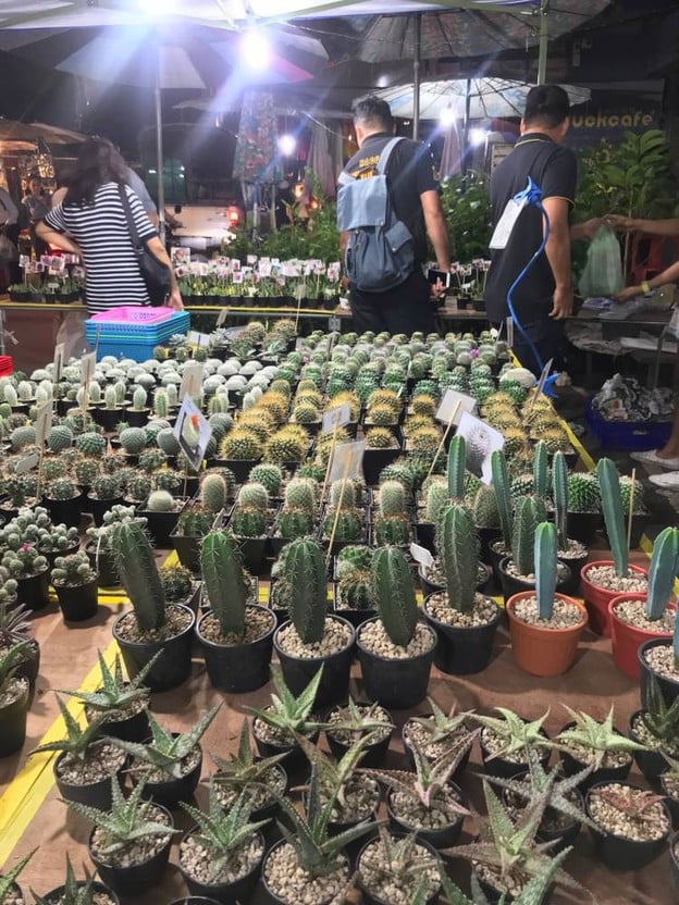 บรรยากาศ ตลาดจตุจักร