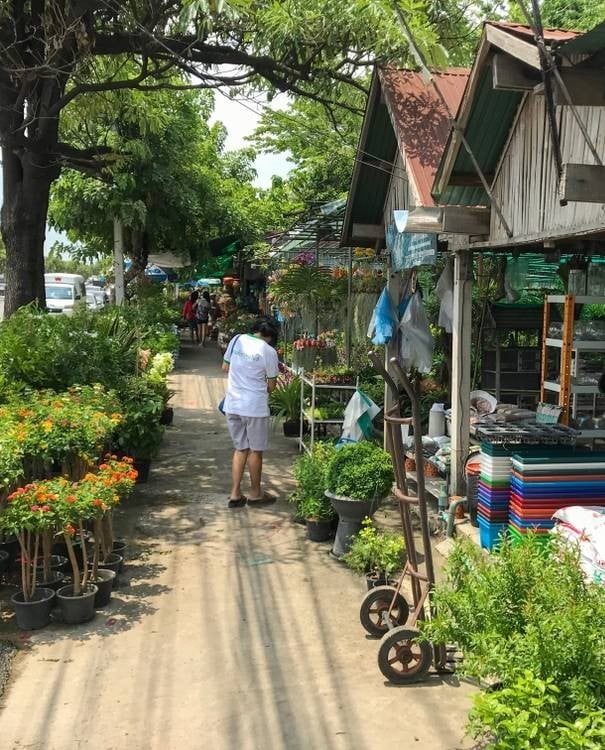บรรยากาศ ตลาดต้นไม้วงแหวนกาญจนาภิเษก